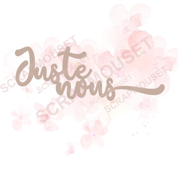 Mot Juste nous en carton bois SCRAPMOUSET