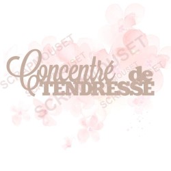 Mot Concentré de tendresse en carton bois SCRAPMOUSET pour scrapbooking et loisirs créatifs