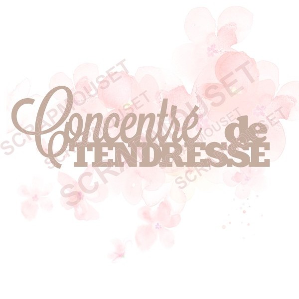 Mot Concentré de tendresse en carton bois SCRAPMOUSET pour scrapbooking et loisirs créatifs