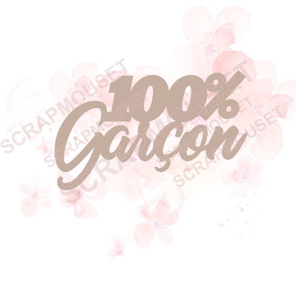 Mot 100% garçon en carton bois SCRAPMOUSET pour scrapbooking et loisirs créatifs