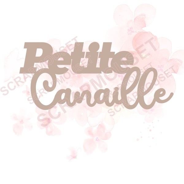 Mot Petite canaille en carton bois SCRAPMOUSET