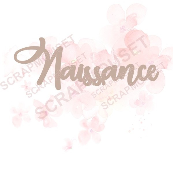 Mot Naissance en carton bois SCRAPMOUSET