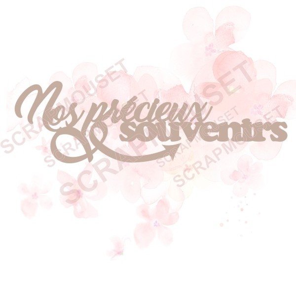 Mot Nos précieux souvenirs en carton bois SCRAPMOUSET