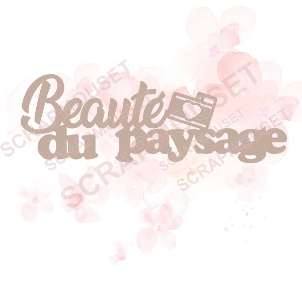Mot Beauté du paysage avec appareil photo en carton bois SCRAPMOUSET