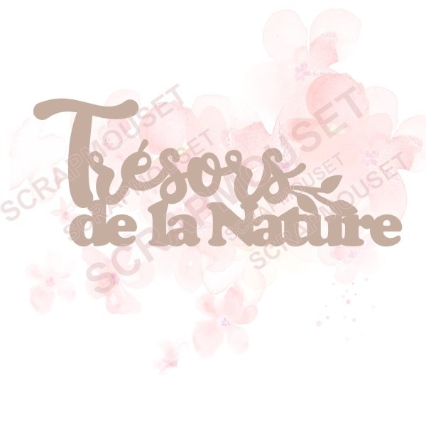 Mot Trésors de la Nature avec feuillage en carton bois SCRAPMOUSET