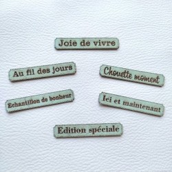 Lot 6 étiquettes thème Moments en liège couleur vert d'eau SCRAPMOUSET