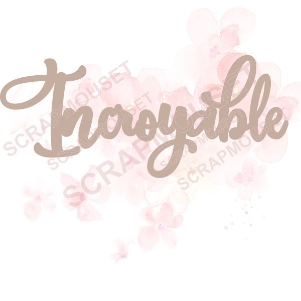 Mot Incroyable en carton bois SCRAPMOUSET