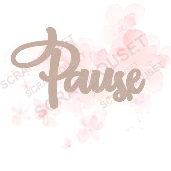 Mot Pause en carton bois SCRAPMOUSET
