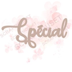 Mot Spécial en carton bois SCRAPMOUSET