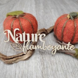 Mot Nature flamboyante avec feuille en carton bois SCRAPMOUSET