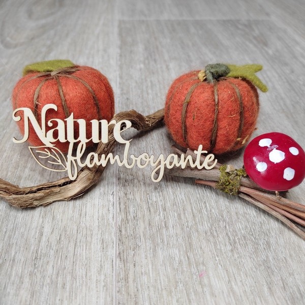 Mot Nature flamboyante avec feuille en carton bois SCRAPMOUSET