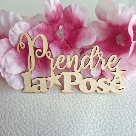 Mot Prendre la pose en carton bois SCRAPMOUSET