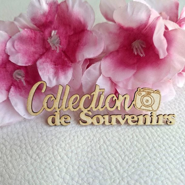 Mot Collection de souvenirs en carton bois SCRAPMOUSET