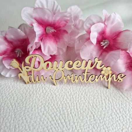 mot-douceur-de-printemps-carton-bois-scrapmouset