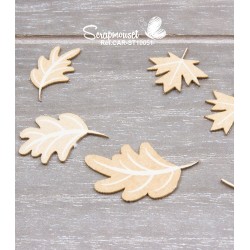 Chipboards "Renard et raton laveur"