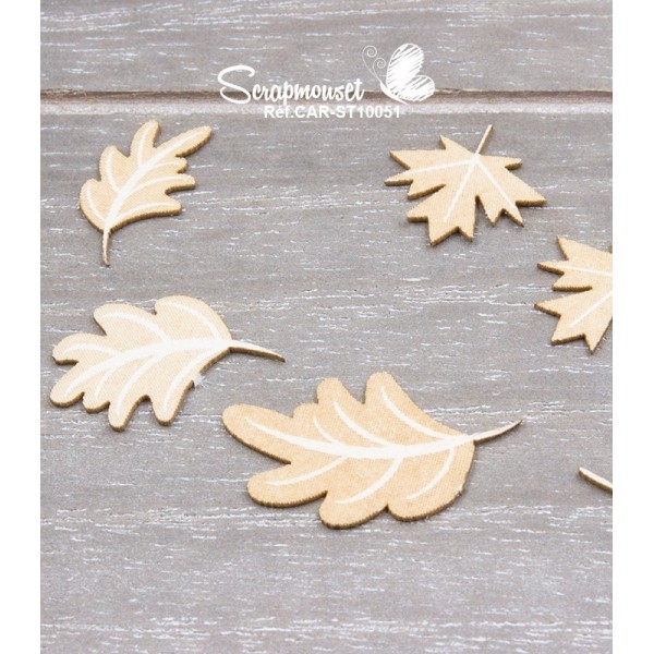 Chipboards "Renard et raton laveur"