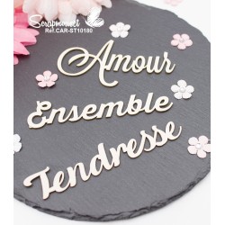 Embellissements en carton bois "Méli-mélo de petits mots" de Scrapmouset