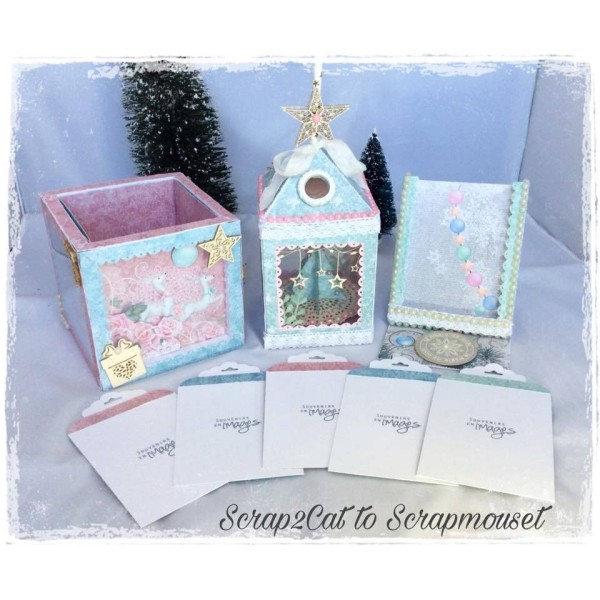 Embellissements "Etoiles polaires" de Scrapmouset