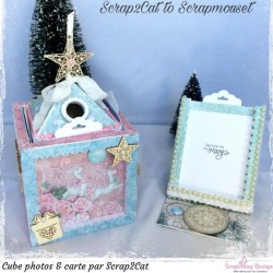 Embellissements "Etoiles polaires" de Scrapmouset
