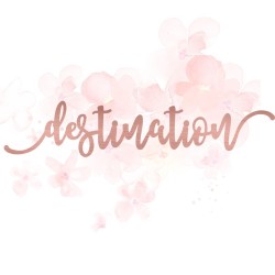 Mot "destination" en Acrylique Rose Gold 15,6 x 3,2 cm - Scrapmouset