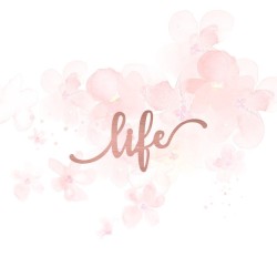 Mot "life" en Acrylique Rose Gold 7,5 x 3,3 cm - Scrapmouset