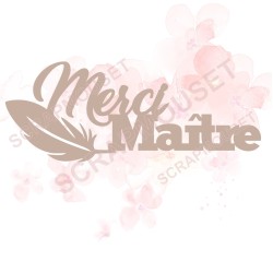 Mot Merci Maître (plume) en carton bois SCRAPMOUSET