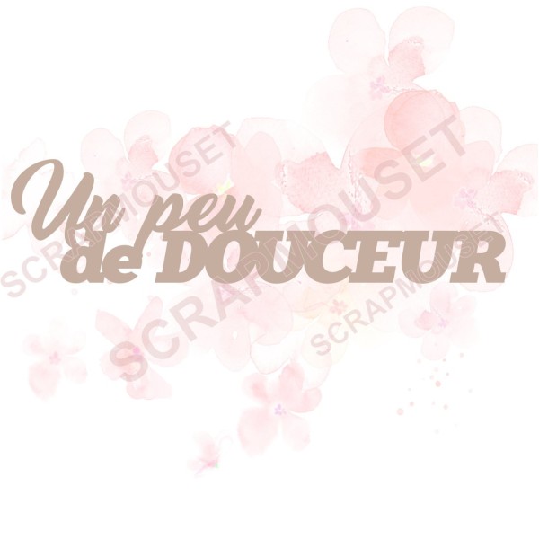 Mot un peu de douceur en Carton bois pour scrapbooking