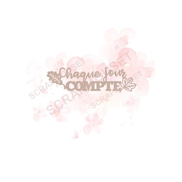 Mots en Carton bois - Chaque jour compte - 10.5 x 3 cm