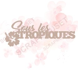 Mots en Carton bois - Sous les tropiques - 13 x 4.8 cm