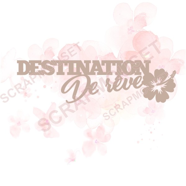 Mot en Carton bois - Destination de rêve - 12.8 x 3.5 cm