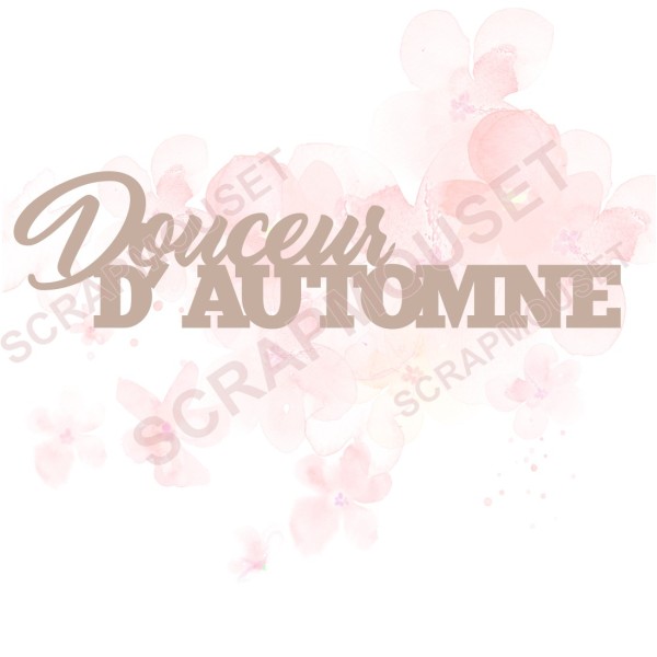 Mot en Carton bois - Douceur d'Automne - 11.4 x 3 cm