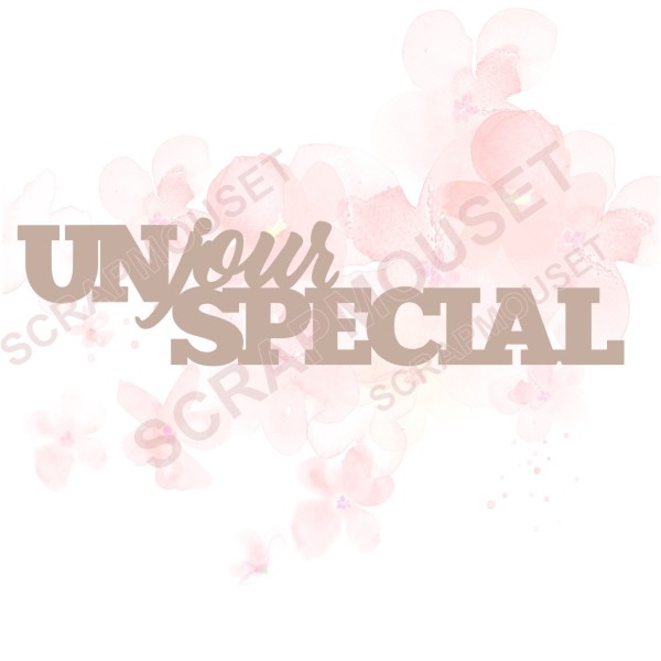 Mot Un jour spécial en carton bois SCRAPMOUSET 10,7 x 2,6 cm