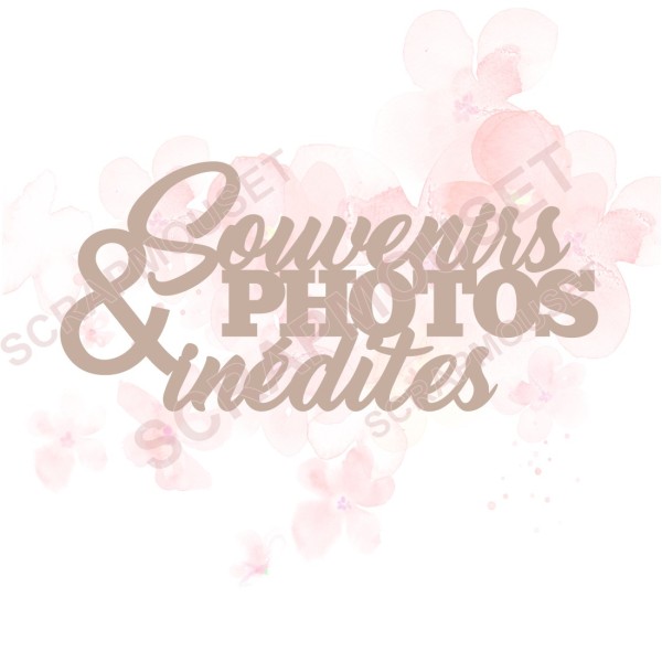 Mot Souvenirs et photos inédites en carton bois SCRAPMOUSET 10 x 4,6 cm