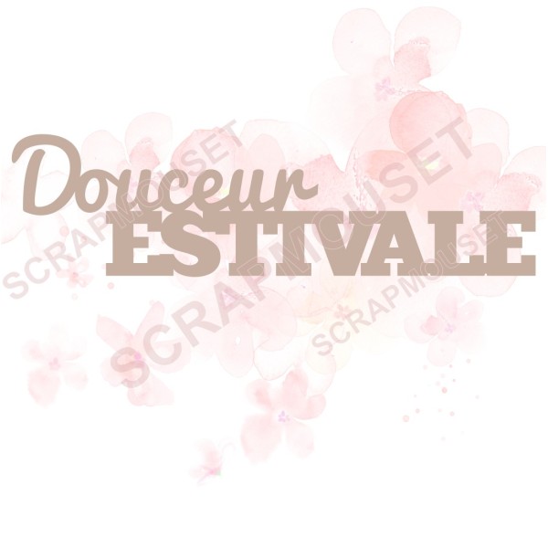 Mot Douceur estivale en carton bois SCRAPMOUSET
