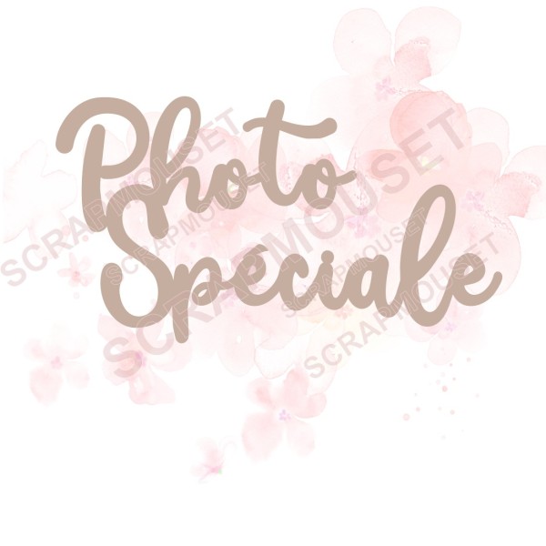 Mot Photo spéciale en carton bois SCRAPMOUSET