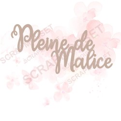 Mot Pleine de malice en carton bois SCRAPMOUSET